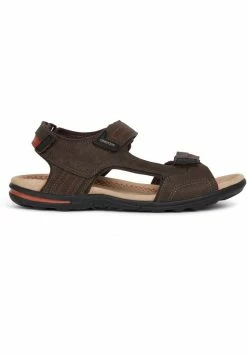 Geox TEVERE A - Sandales De Randonnée - Taupe -Pas Cher Geox Boutique 0610eddf6479414ca02e23d0d44c2471