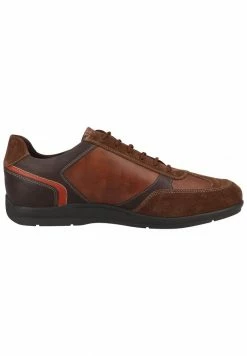 Geox Baskets Basses - Cognac/browncotto -Pas Cher Geox Boutique 0f9c7076912546be98c159e6914816ea