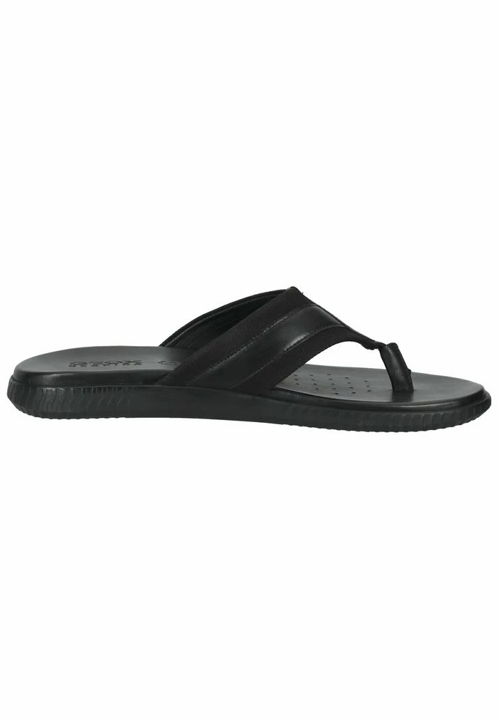 Geox Tongs - Schwarz 7 Geox Tongs - Schwarz – Image 7