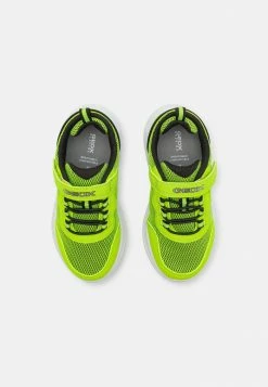 Geox SPRINTYE BOY - Baskets Basses - Lime/black -Pas Cher Geox Boutique 543fec182f564c7190b7aa9ed2c0eb92