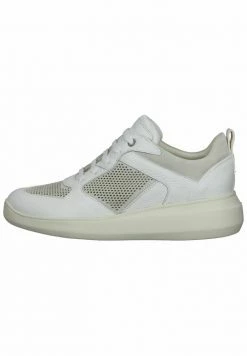 Geox Baskets Basses - Off White