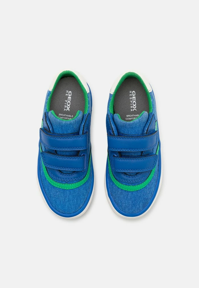 Geox GISLI BOY - Baskets Basses - Royal/green 4 Geox GISLI BOY - Baskets Basses - Royal/green – Image 4