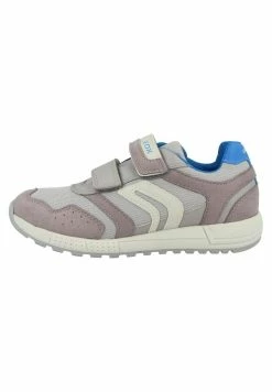 Geox ALBEN - Baskets Basses - Grey-sky