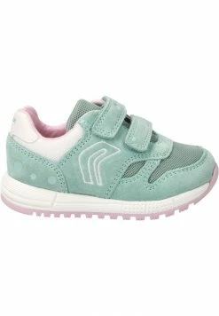 Geox ALBEN - Baskets Basses - Grün