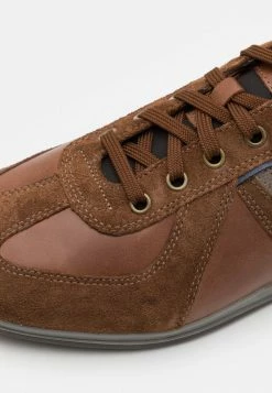 Geox RENAN - Baskets Basses - Brown -Pas Cher Geox Boutique bde5c8197a10491aacb83a5bd5e752ac
