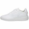 Geox Baskets Basses - White