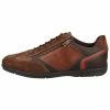 Geox Baskets Basses - Cognac/browncotto