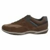 Geox Baskets Basses - Cognac Brown
